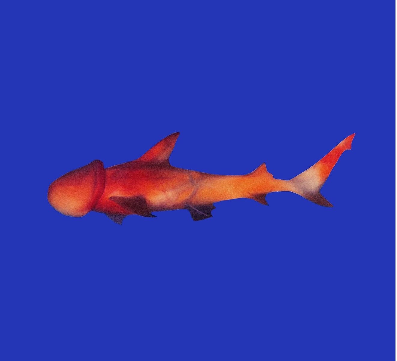 Master Bait, BEST IN SHOW, Digital Illustration, Christoper Labine, Jr. (DICKSOVERIES), 12 Inches of Sin, Le Salon des Refusés Péché,